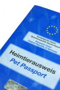 Chihuahua EU Heimtierausweis