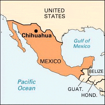 Chihuahua in Mexiko