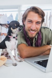 Chihuahua Forum