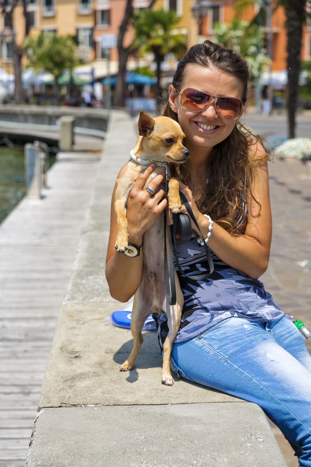 Urlaub mit Chihuahua