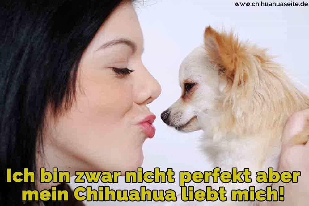 Eine Frau küsst ihr Chihuahua