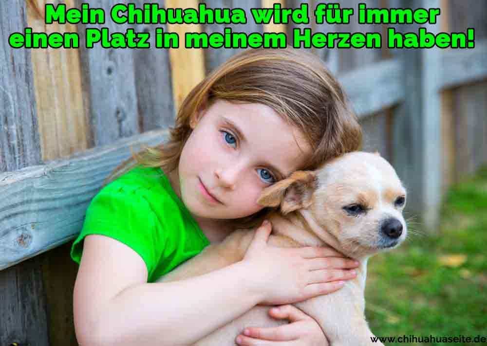 Ein Mädchen umarmt ihren Chihuahua