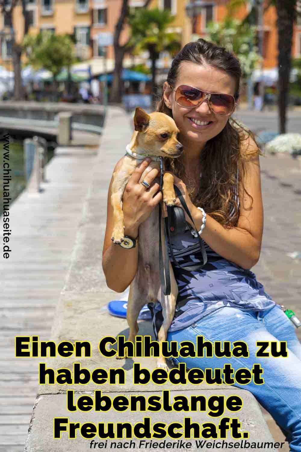 Eine Frau hält ihr Chihuahua
