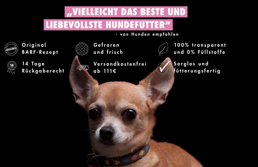 Fertiges BARF-Futter für den Chihuahua