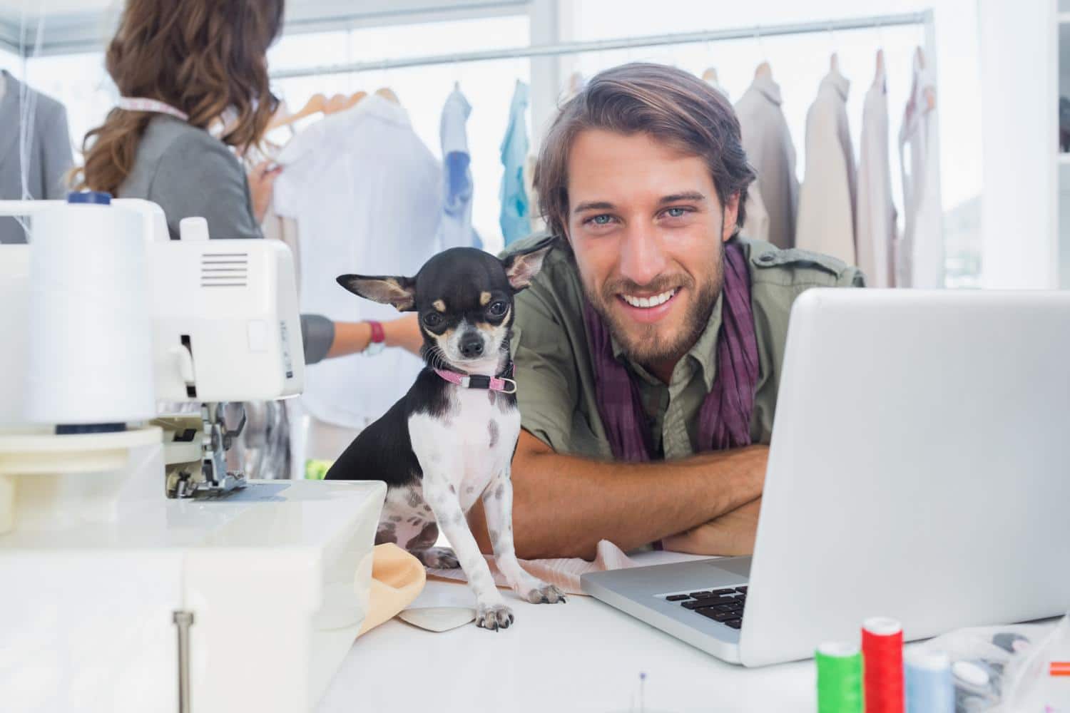 Anzeige erstellen ChihuahuaSeite.de
