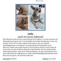 JOZKA sucht ein neues Zuhause