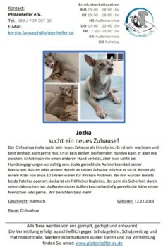 JOZKA sucht ein neues Zuhause