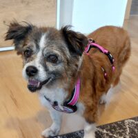 Soul - zauberhafte Omi