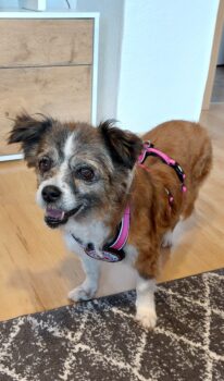 Soul - zauberhafte Omi