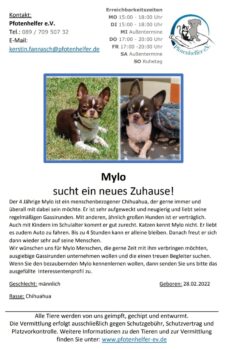 der kleine MYLO sucht sein Traumzuhause 😻